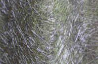 Stoke fibreglass roof work